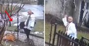 Kopał psa, rzucał kamieniem. Kamera przed domem nagrała księdza