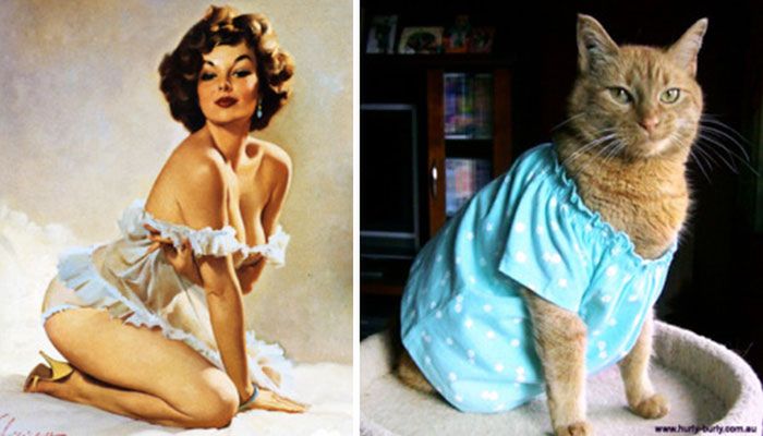 Koty, które pozują jak dziewczyny pin-up z dawnych amerykańskich plakatów 15