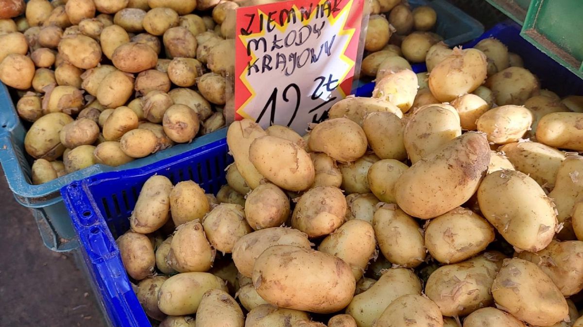 Ziemniaki w cenie 12 zł/kg na Hali Mirowskiej w Warszawie.