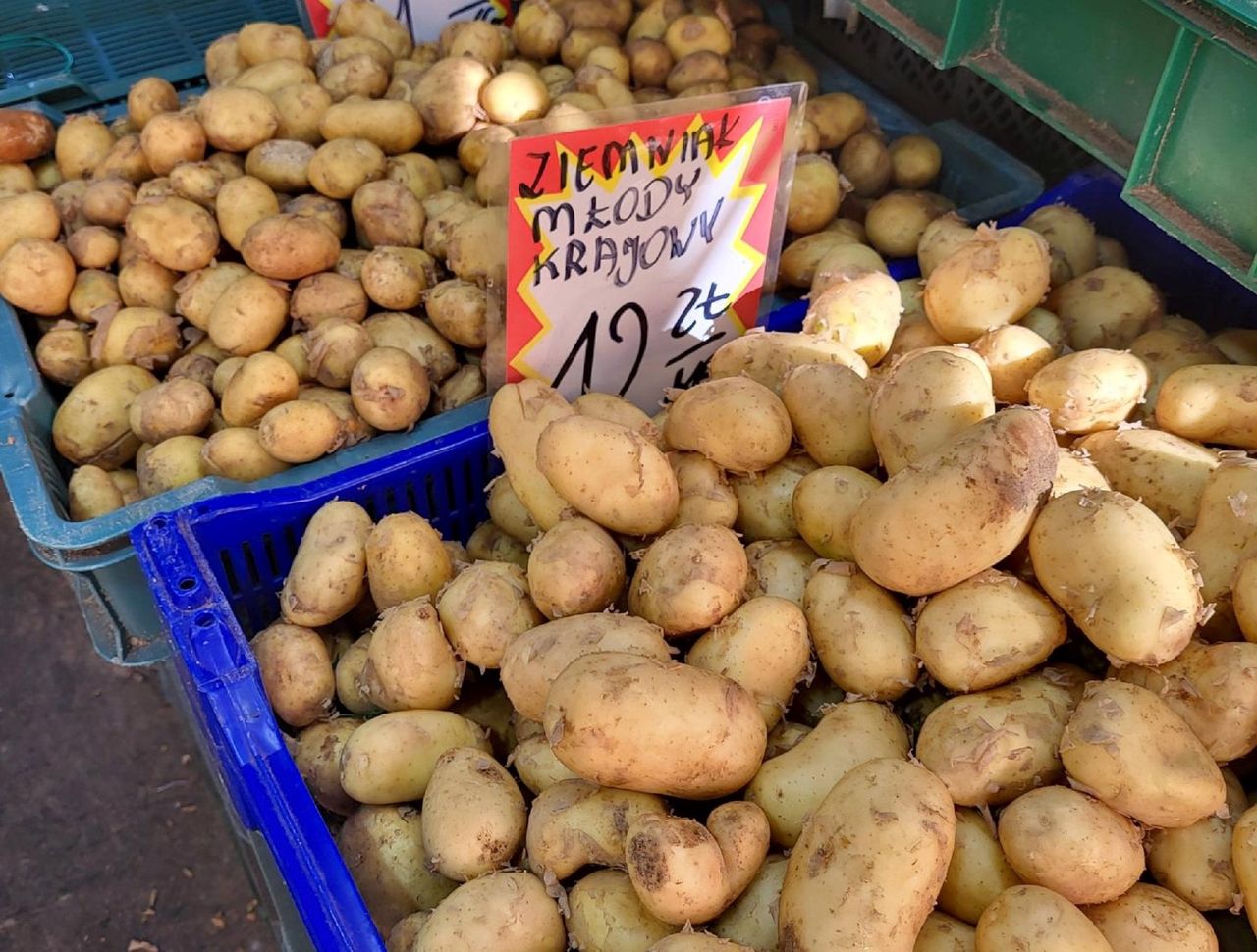 To nie żart. Oto ile kosztują teraz polskie ziemniaki