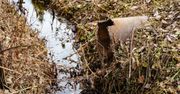 Łódź: Za brudne ścieki będą wysokie kary. ZWiK zaostrza kontrole w zakładach przemysłowych