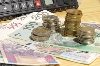 "Na rynku widać objawy paniki". Co z walutami? Najnowsza prognoza