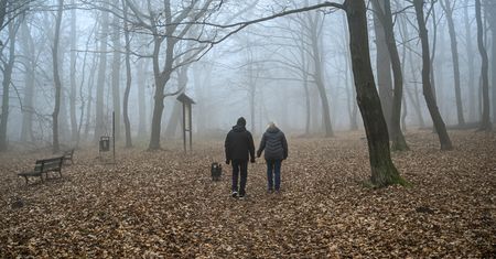 Żółte alerty w części kraju. Obowiązują przez cały poranek