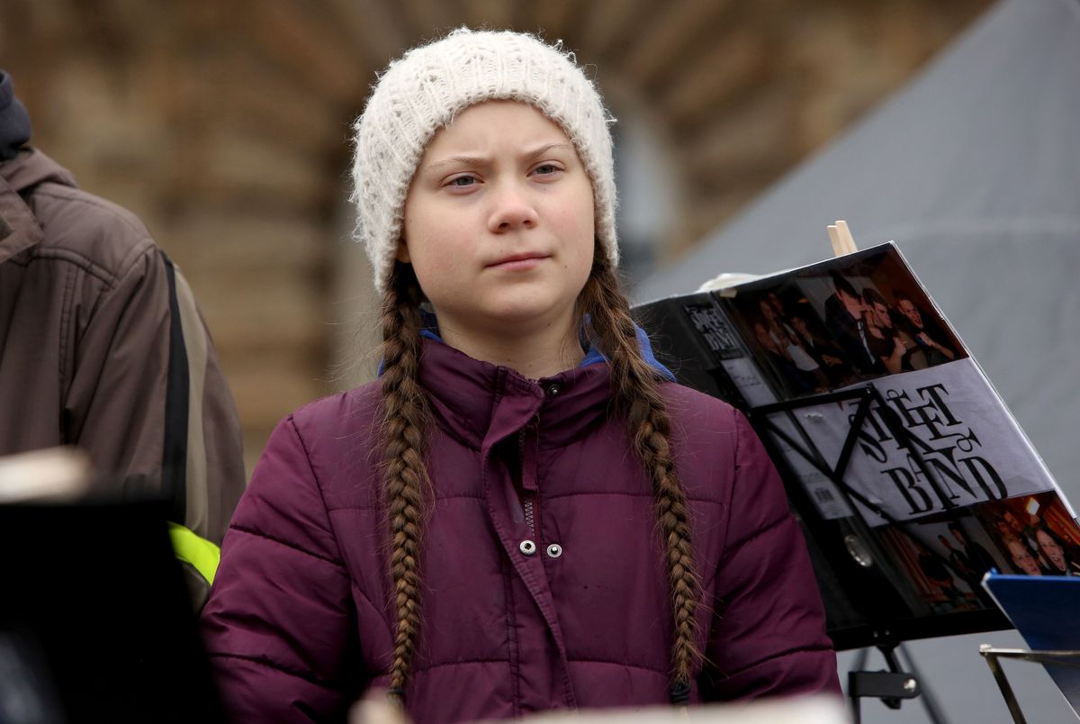 Black Friday 2020. Greta Thunberg