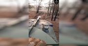 Ukraina chwali się nowymi haubicami 2S1 Goździk. Nie wiadomo, skąd je ma
