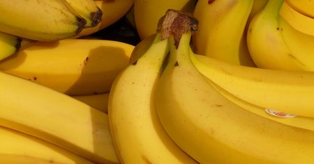 Nie wyrzucaj skórki od banana! Nie uwierzysz, co można z niej zrobić