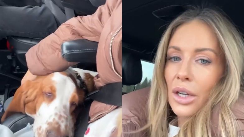 Małgorzata Rozenek poczuła się urażona uwagą na temat wagi psa