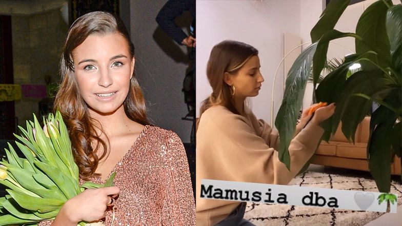 Julia Wieniawa czule przeciera kwiaty szmatką