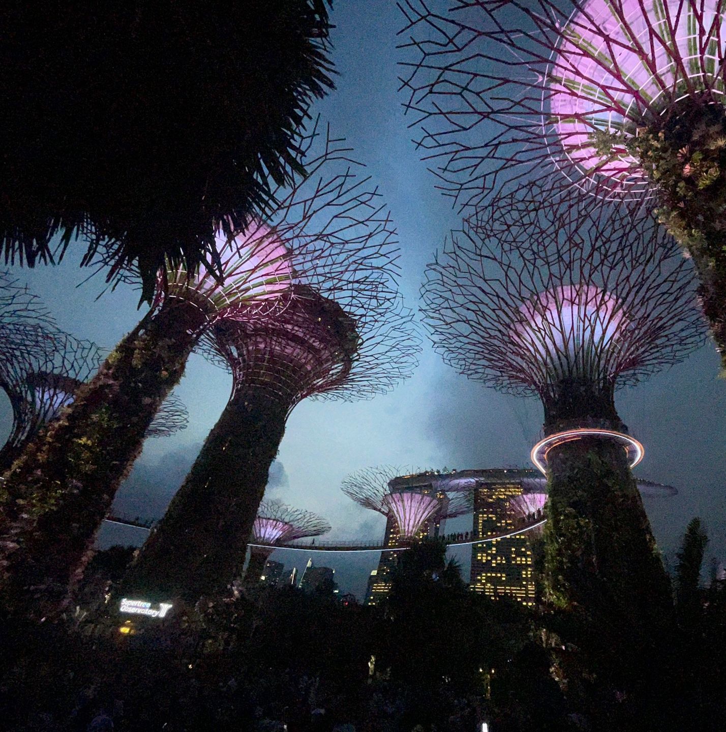 Sztuczne drzewa nocą