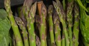 Pojawiły się pierwsze polskie szparagi. Cena przyprawia o zawrót głowy