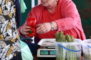 Takie ceny papryki niepokoją plantatorów. Zostawią ją na polu?