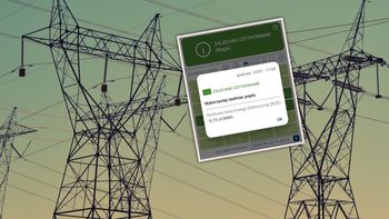 Zobaczył ujemne ceny prądu. Radzi, jak magazyny energii mogą ściąć rachunki