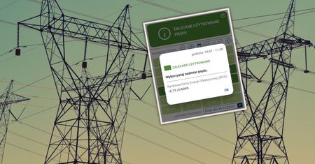 Zobaczył ujemne ceny prądu. Radzi, jak magazyny energii mogą ściąć rachunki