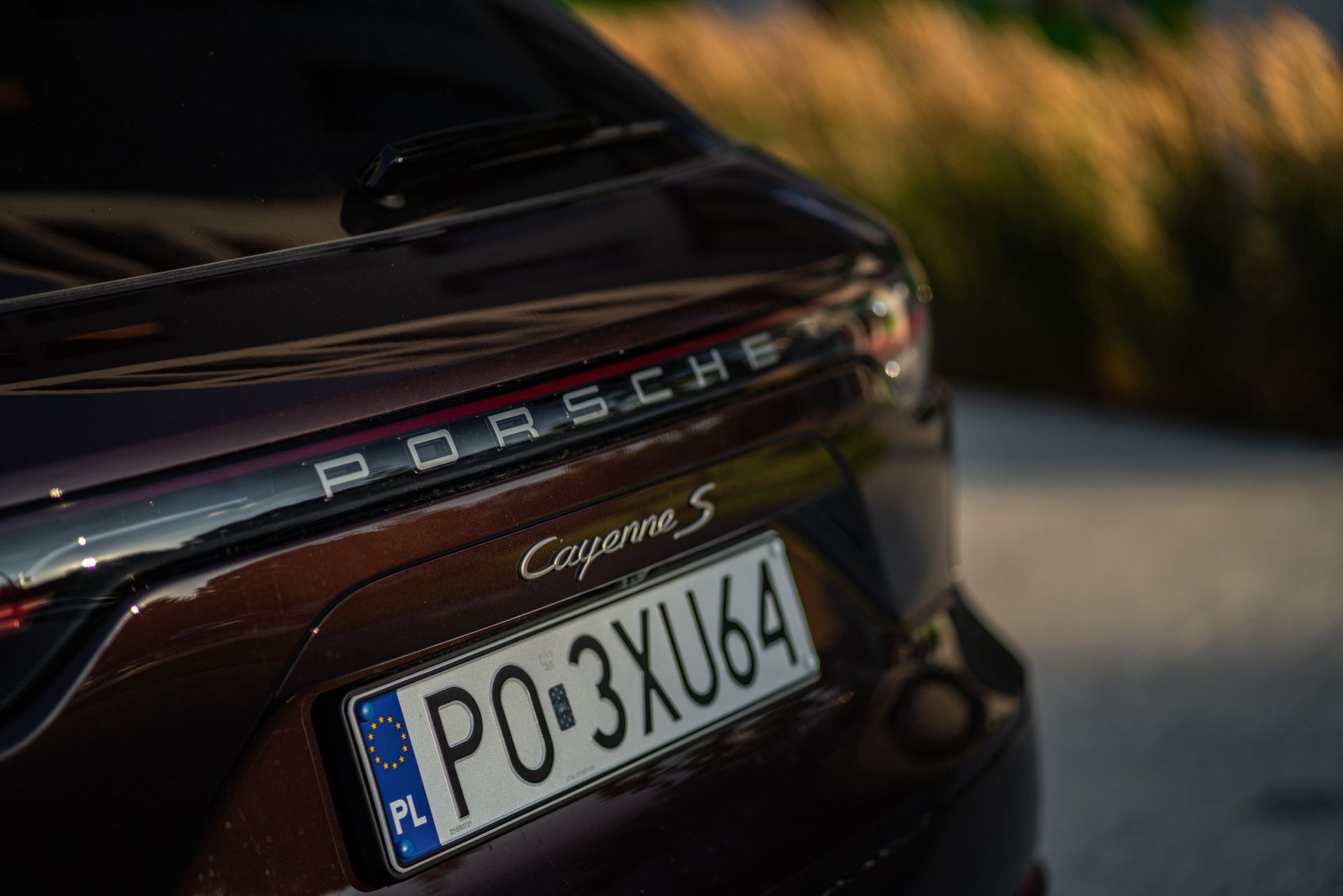 Porsche Cayenne S Platinum Edition (2022)