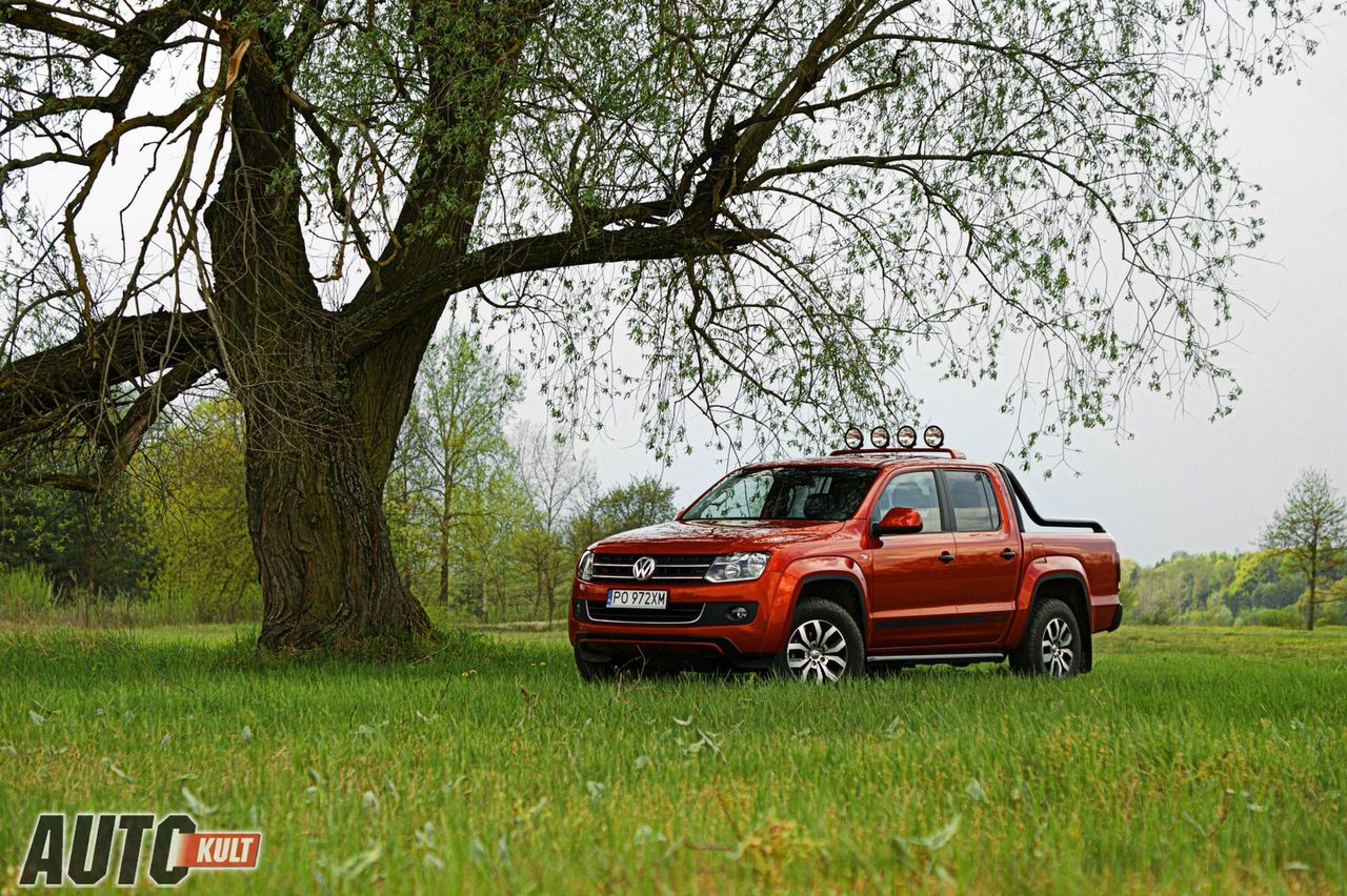 Volkswagen Amarok Canyon 2,0 TDI 4x4 - test [galeria]