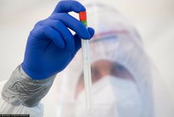 Koronawirus w Polsce. Wojciech Andrusiewicz o niepokojących danych z jednego województwa. Chodzi o brytyjską mutację