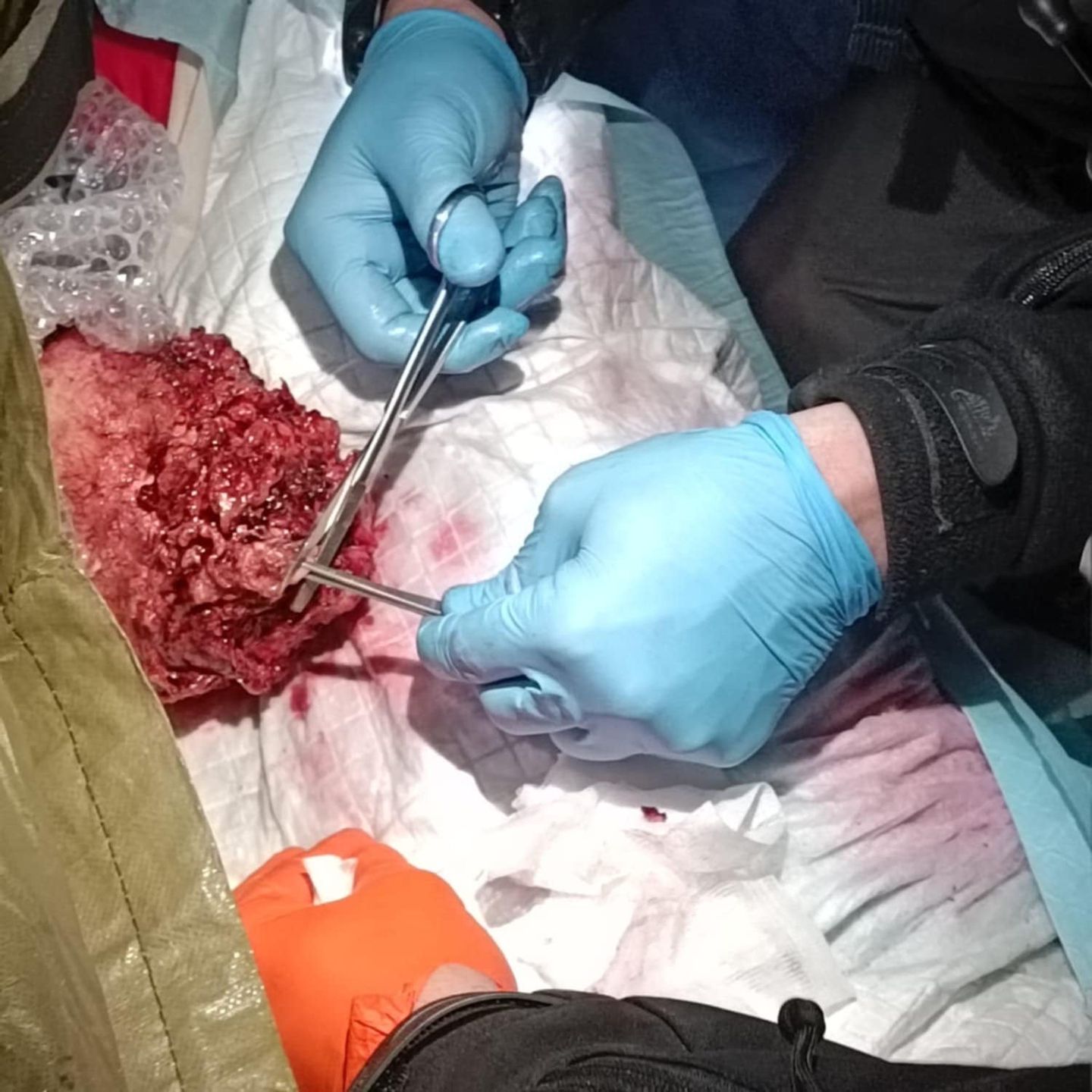 Szkolenia z medycyny pola walki