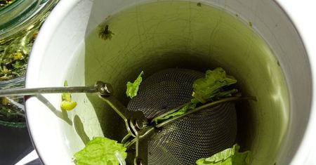 Nie tylko na nerwy. Korzyści dla jelit, ochrona przed cukrzycą