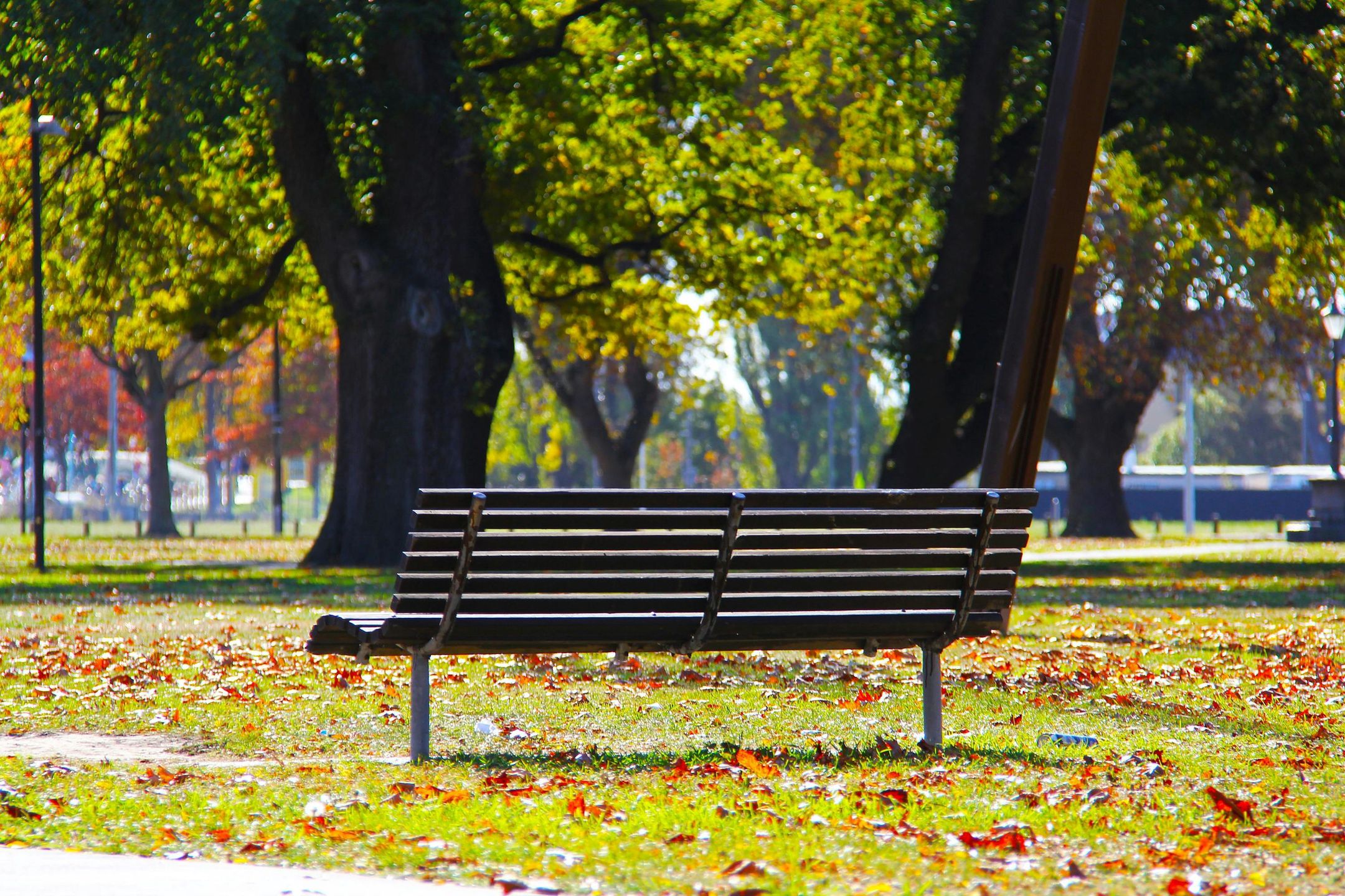 Park miejski, ławka, miasto, teren zielony, odpoczynek, rekreacj