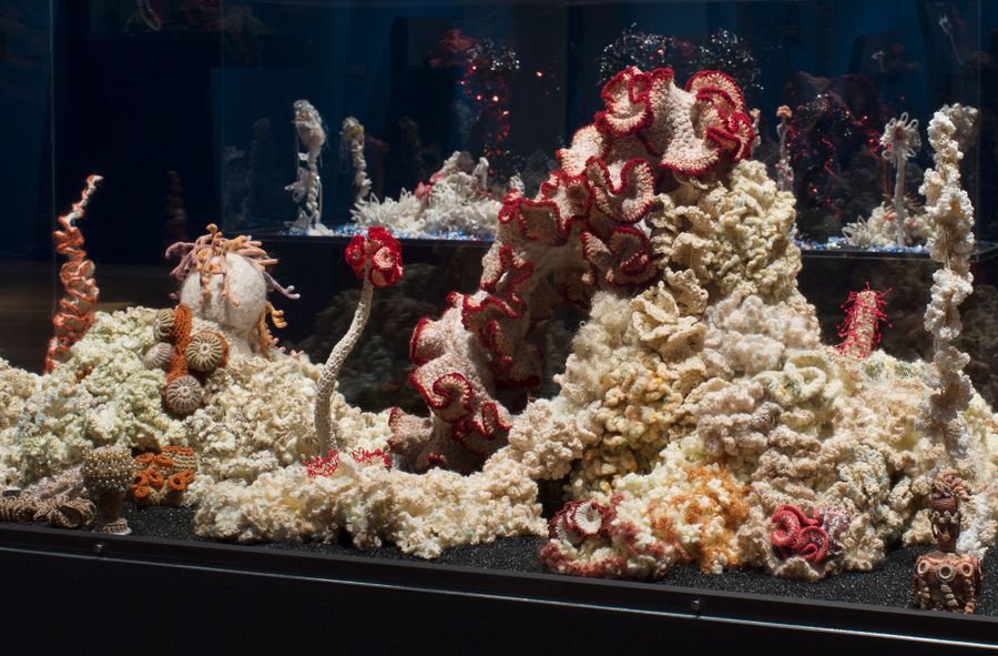 Blaknięcie rafy koralowej w Museum of Arts and Design w Nowym Jorku
