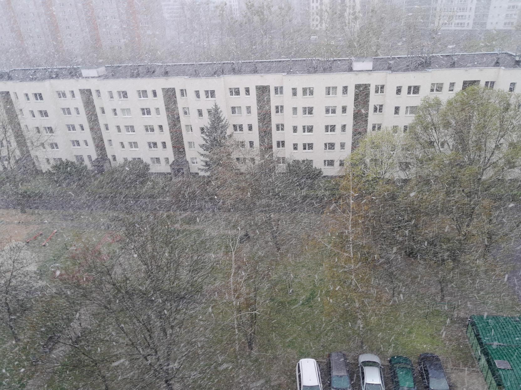 Śnieżyca w Warszawie