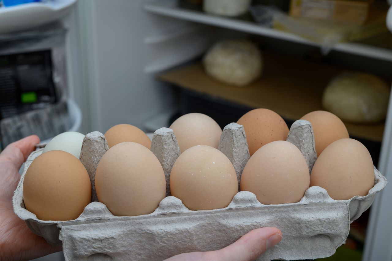 Keep eggs fresh: Top tips for storage and extending shelf life
