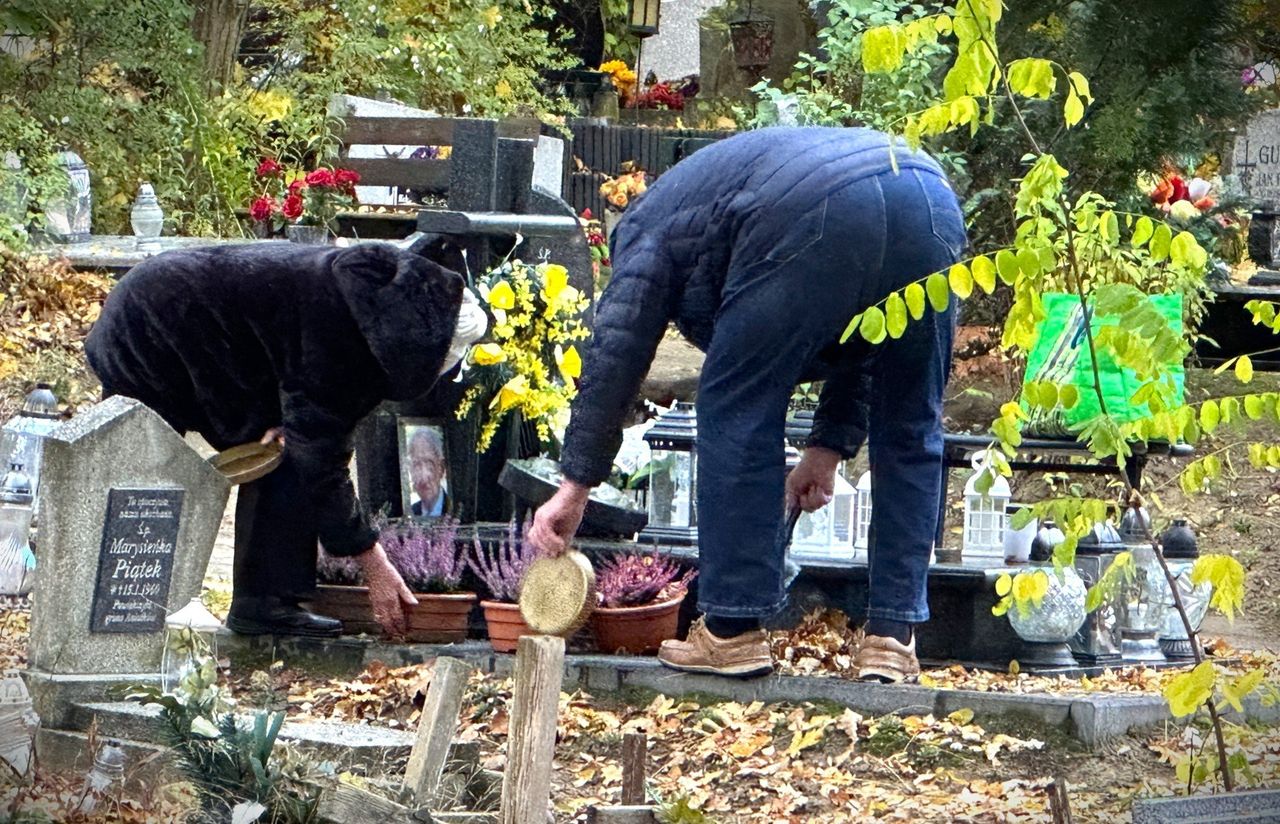 Nie masz możliwości lub czasu zająć się mogiłami swoich bliskich? Firma za ciebie posprząta grób, usunie chwasty, zapali znicz