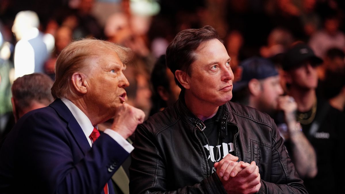 NEW YORK, NEW YORK - NOVEMBER 16: President-elect Donald Trump and Elon Musk talk ring side during the UFC 309 event at Madison Square Garden on November 16, 2024 in New York City. (Photo by Chris Unger/Zuffa LLC)