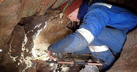 Szczątki mamuta i zwierząt z epoki lodowcowej. Sensacyjne odkrycie w Anglii