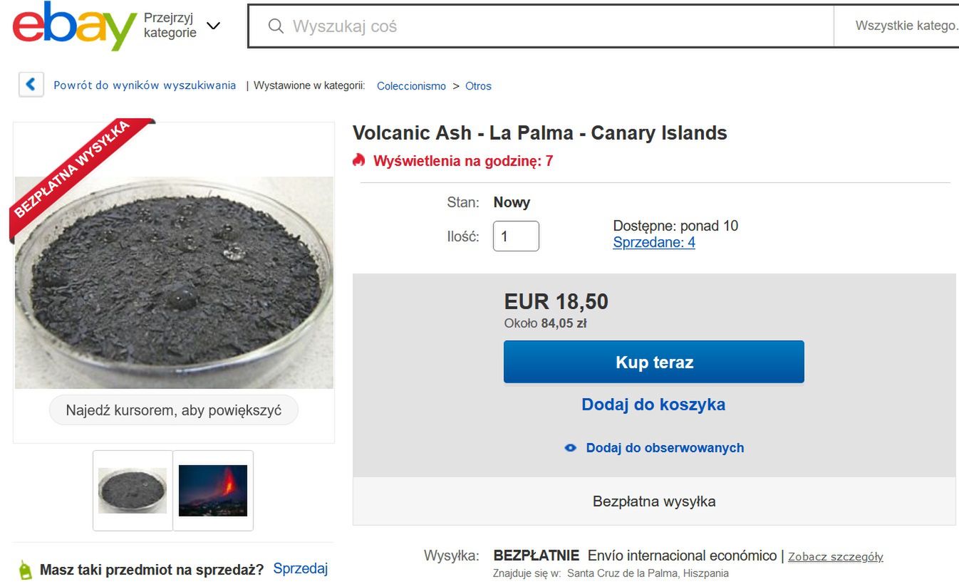 Tak wygląda ogłoszenie w serwisie eBay