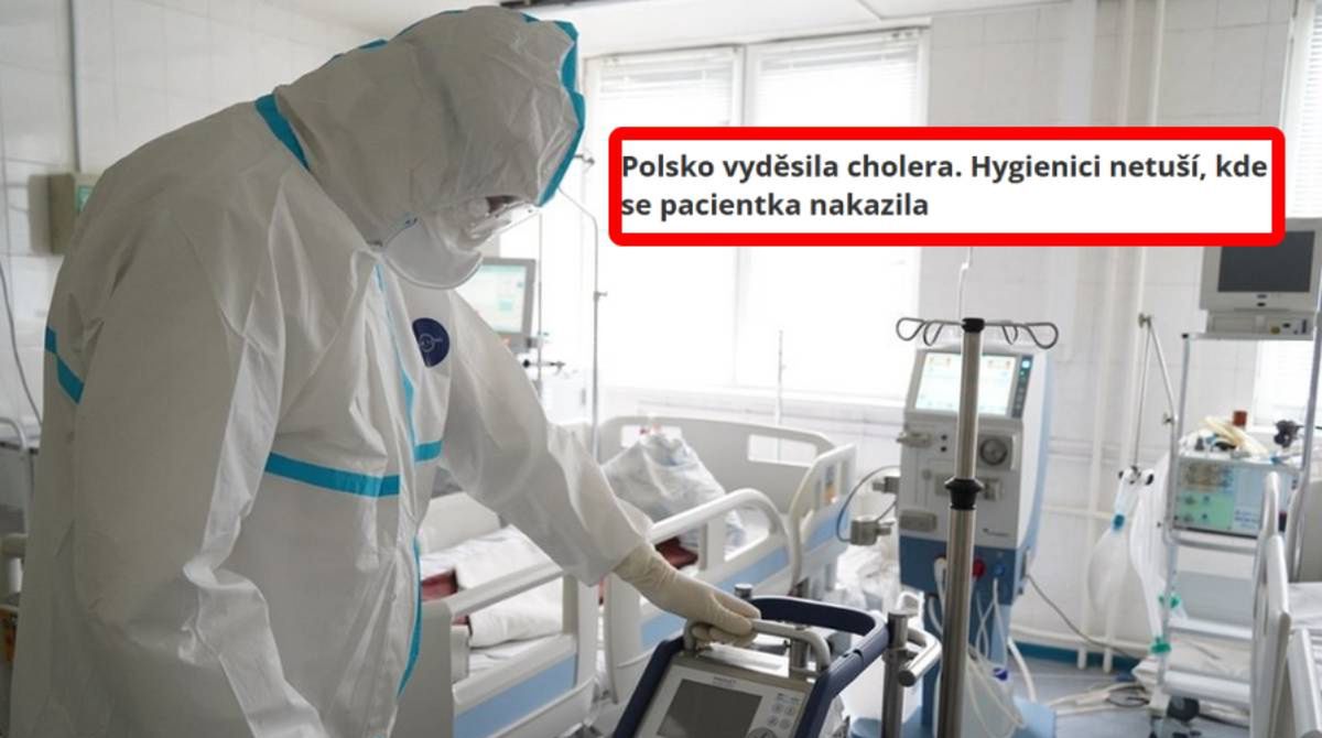 Czesi piszą o Polsce. "Panika po wykryciu choroby"