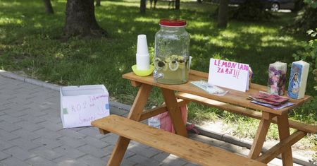 Donosili na dzieci sprzedające lemoniadę. Sanepid ich zaskoczył