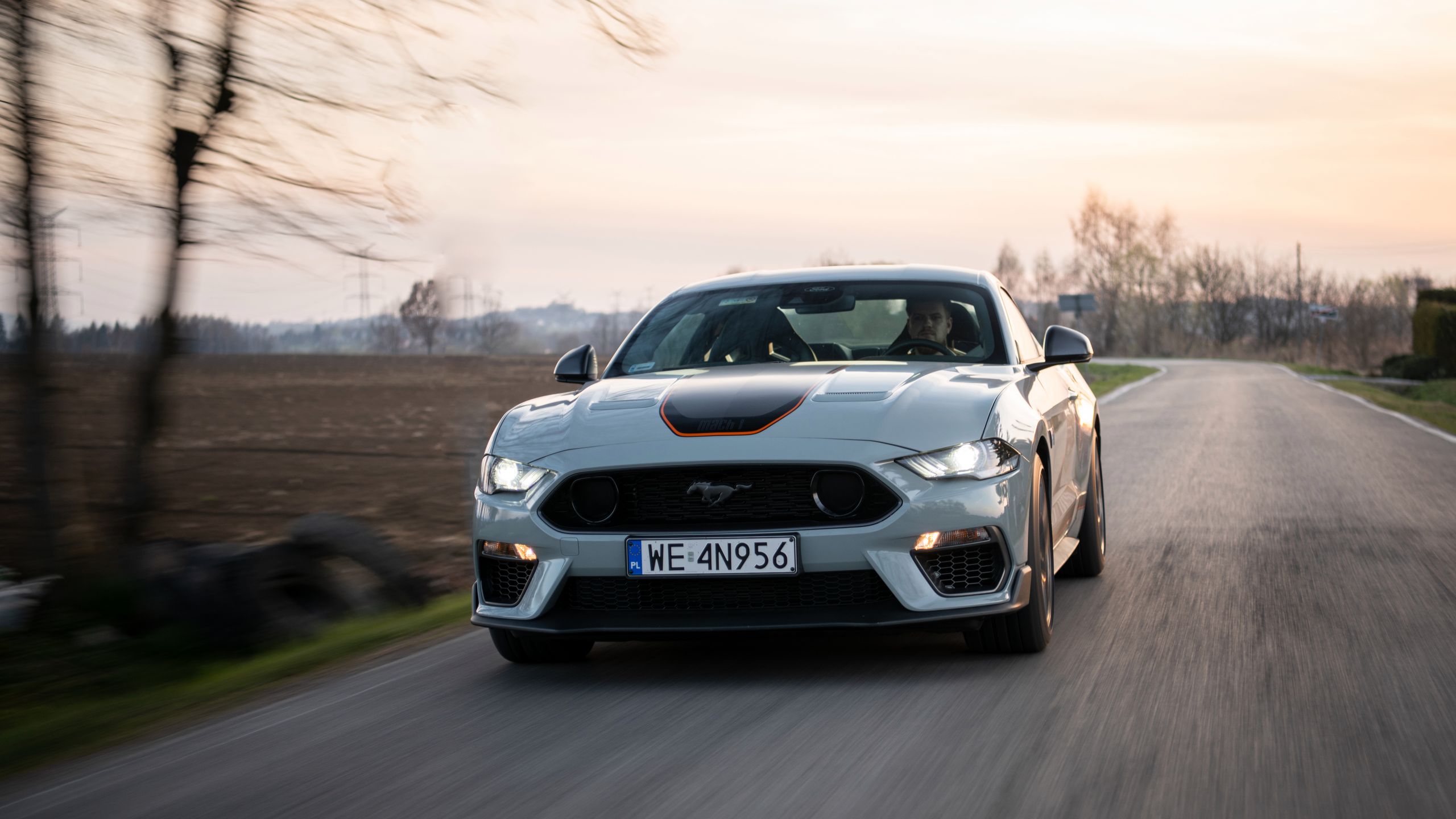 Ford Mustang Mach 1 (2022) vs. Ford Mustang Mach 1 428 Cobra Jet (1970)