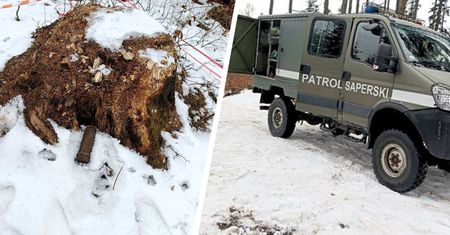 Leśnicy zaalarmowali służby. Niebezpieczne znalezisko pod Tarnowem