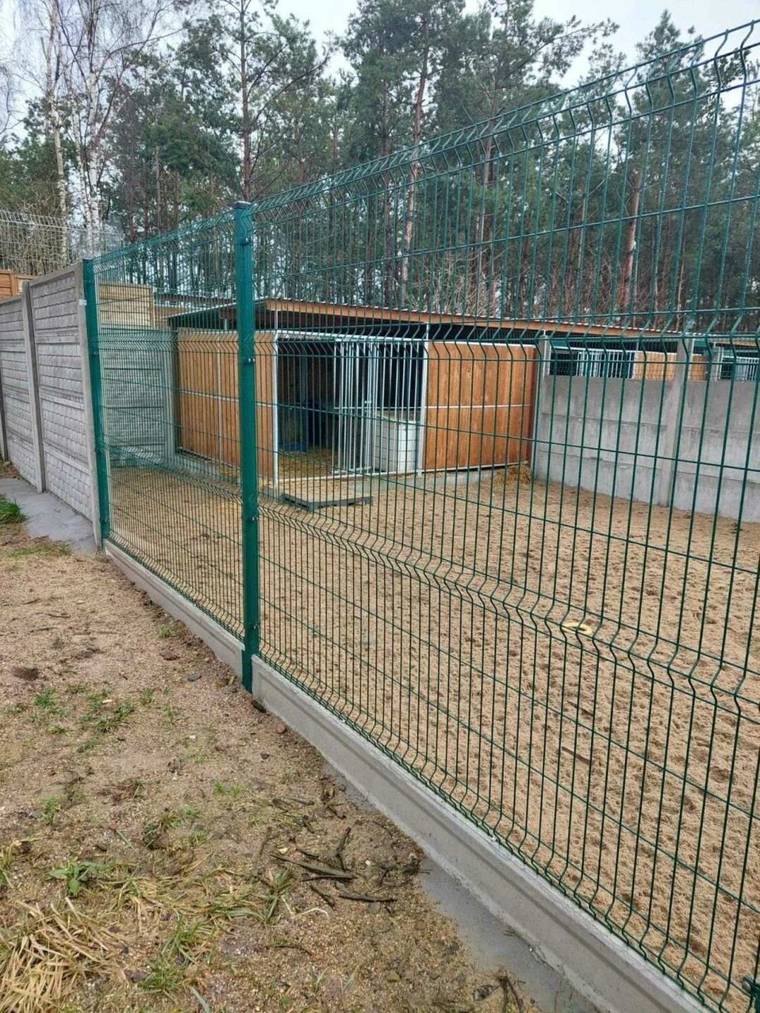 Wyrok dla byłego kierownika schroniska