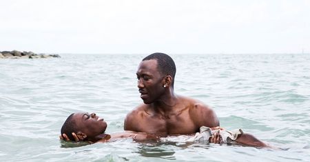 "W starym streamie": co oglądać? Najlepsze filmy 2016 roku