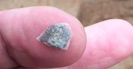 Ślady Bizancjum na polskiej wsi. Archeolodzy znaleźli to obok grobu