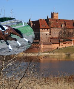 Ekipie filmowej uciekł koń. Alarm w mieście