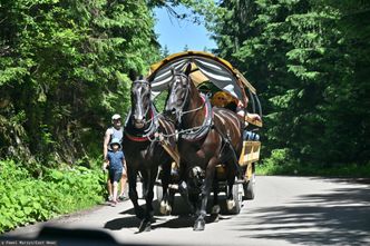 Miała być rewolucja w transporcie do Morskiego Oka. Kolejki nadal stoją do konnych zaprzęgów