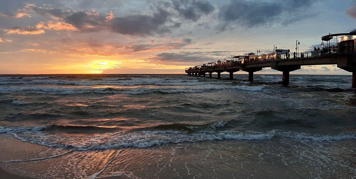 Taki widok to rzadkość! Polskę odwiedził ogromny ssak, pomogły służby
