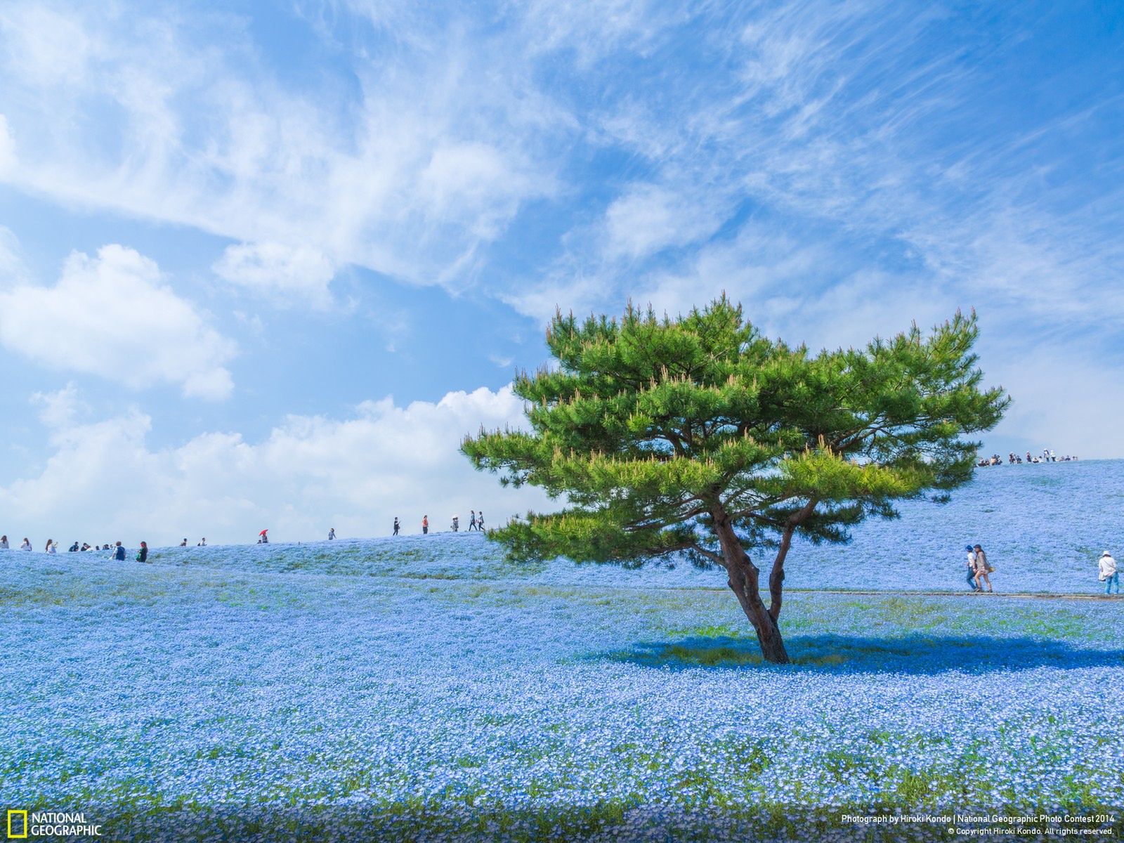 Najlepsze zgłoszenia z National Geographic Photo Contest 2014 10