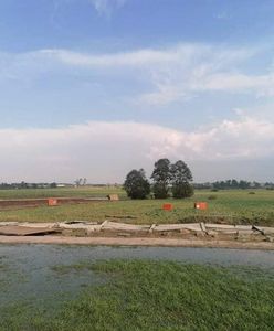 Trąba powietrzna w okolicach Radomia. Tragedia schroniska dla psów