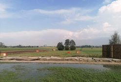 Trąba powietrzna w okolicach Radomia. Tragedia schroniska dla psów