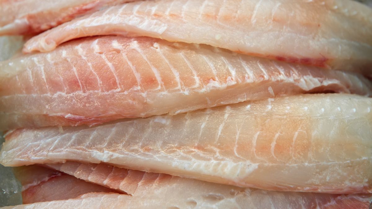 Ryby, które są najbardziej zanieczyszczone