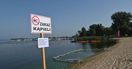 Katastrofa ekologiczna na Odrze. "Doszło do wtórnej reakcji biologicznej"