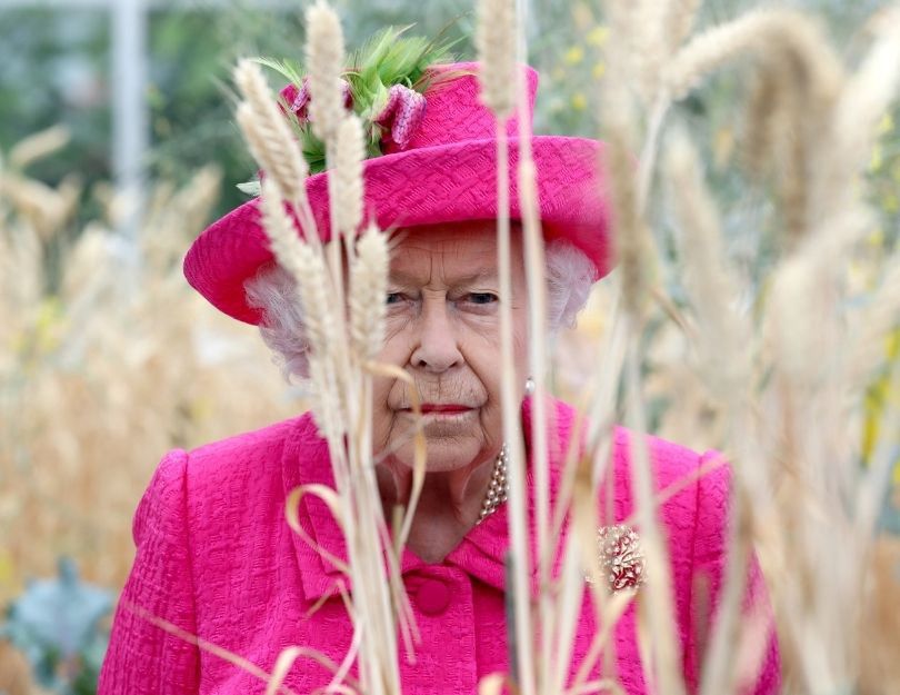 Harry i Meghan nie spędzą Świąt z rodziną królewską