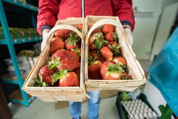 Cios w sady i plantacje. Te owoce z pewnością zdrożeją