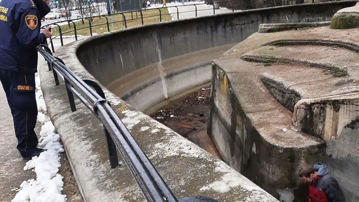 49-latek wpadł do wybiegu dla niedźwiedzi