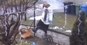 Ksiądz, który kopał psa, dostał upomnienie od metropolity. Jest nagranie [VIDEO]