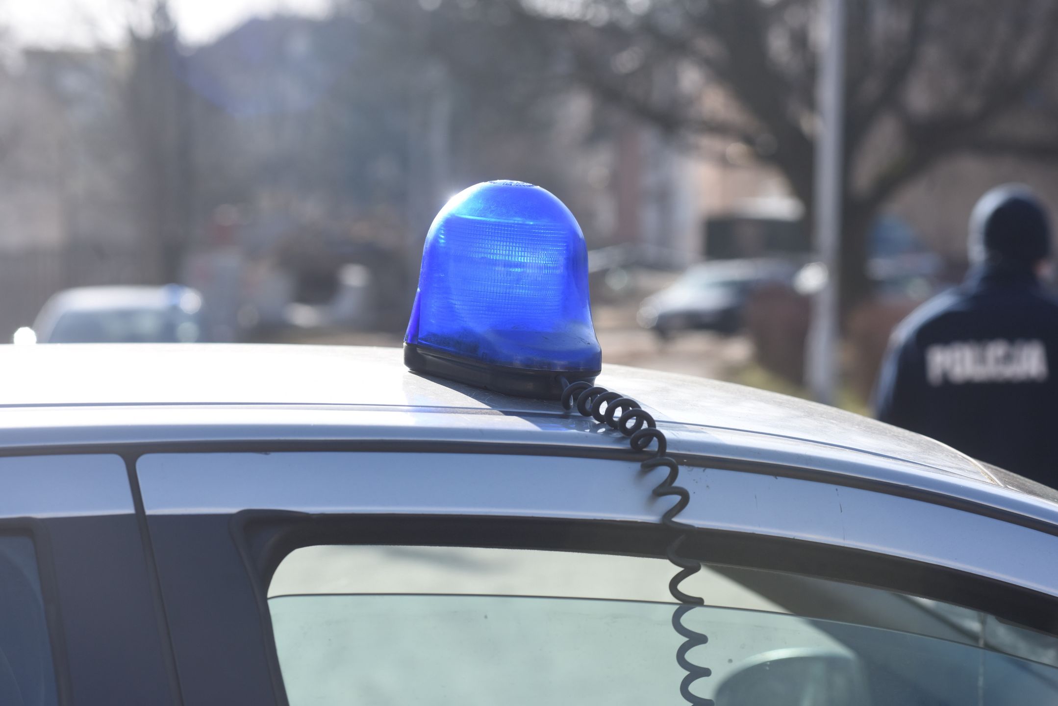 policja